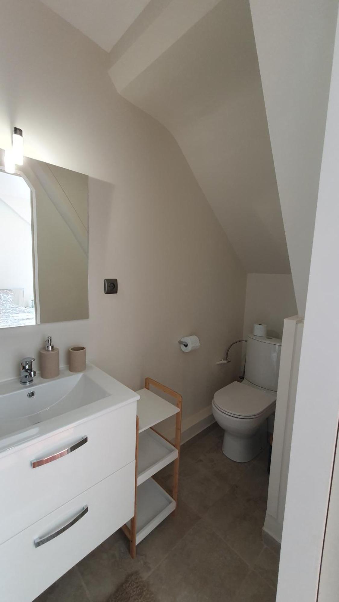 Bed and Breakfast Demeure D'Exception Sur Анже Экстерьер фото
